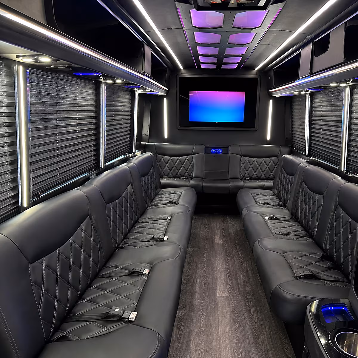 livonia party bus rental interior